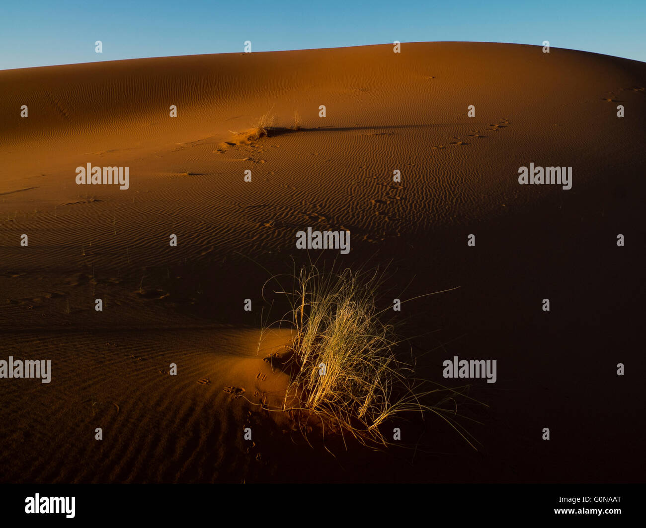 The Erg Chebbi sand dunes in Merzouga Stock Photo