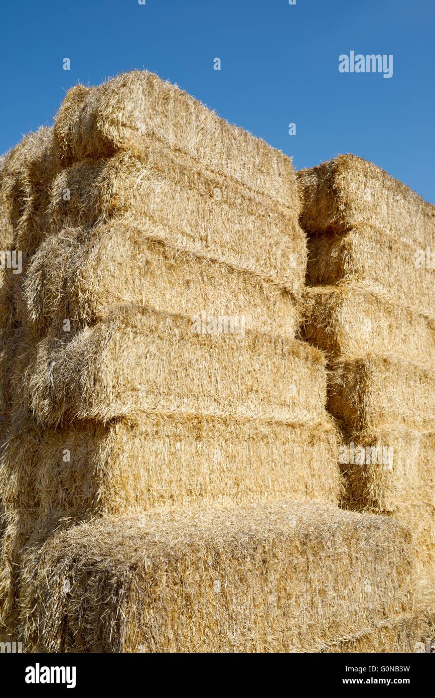 Straw bales stacked with blue sky Stock Photo - Alamy