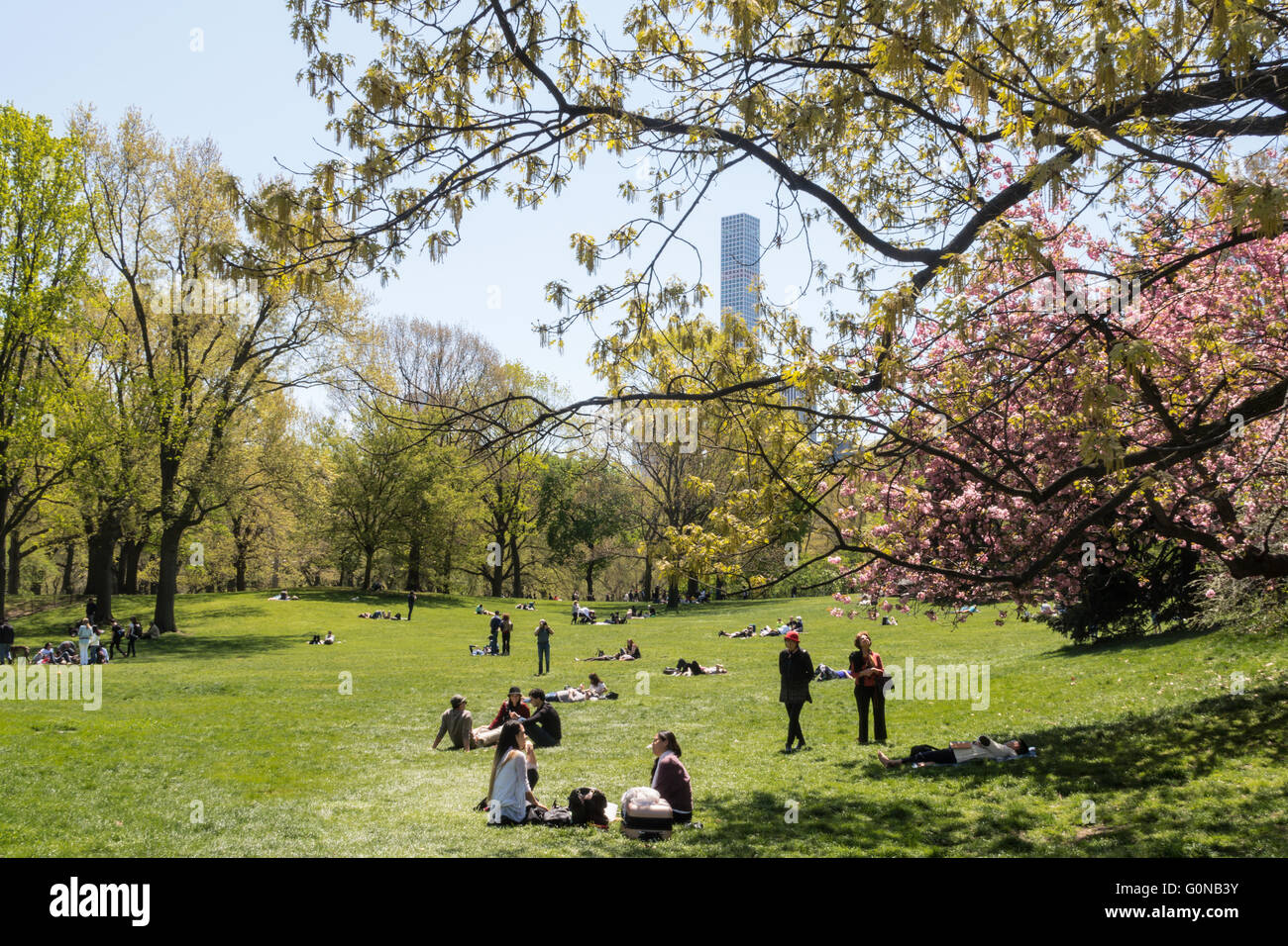 Central Park in Springtime, NYC, USA Stock Photo