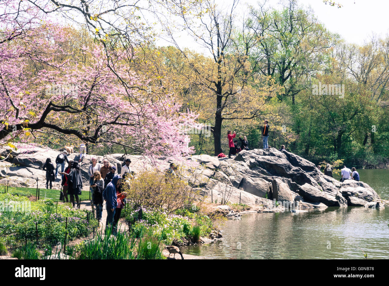 Tourists on Path Near The Hernshead Promontory, The Lake, Central park, NYC, USA Stock Photo
