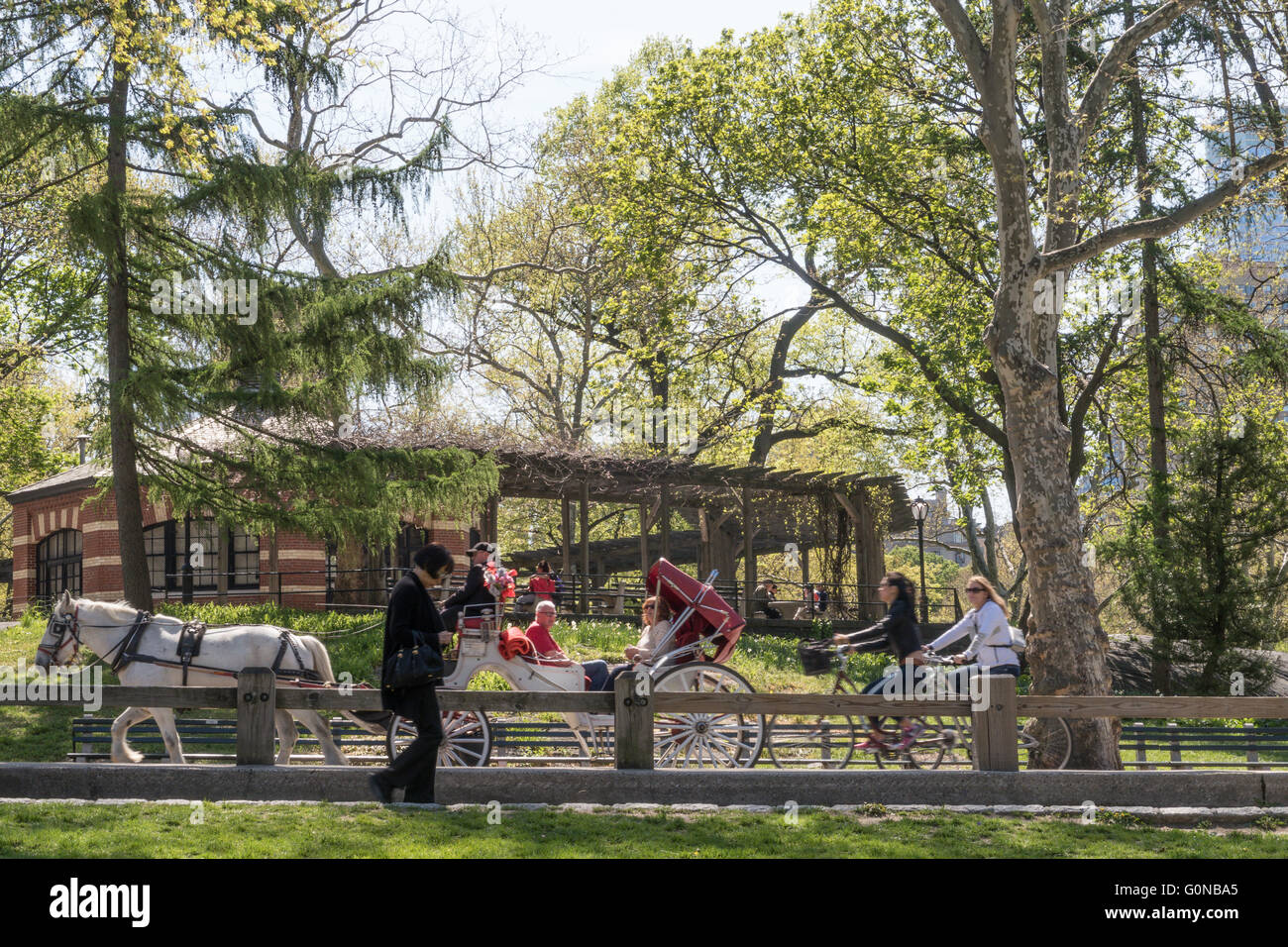 Activities in Central Park, NYC Stock Photo Alamy