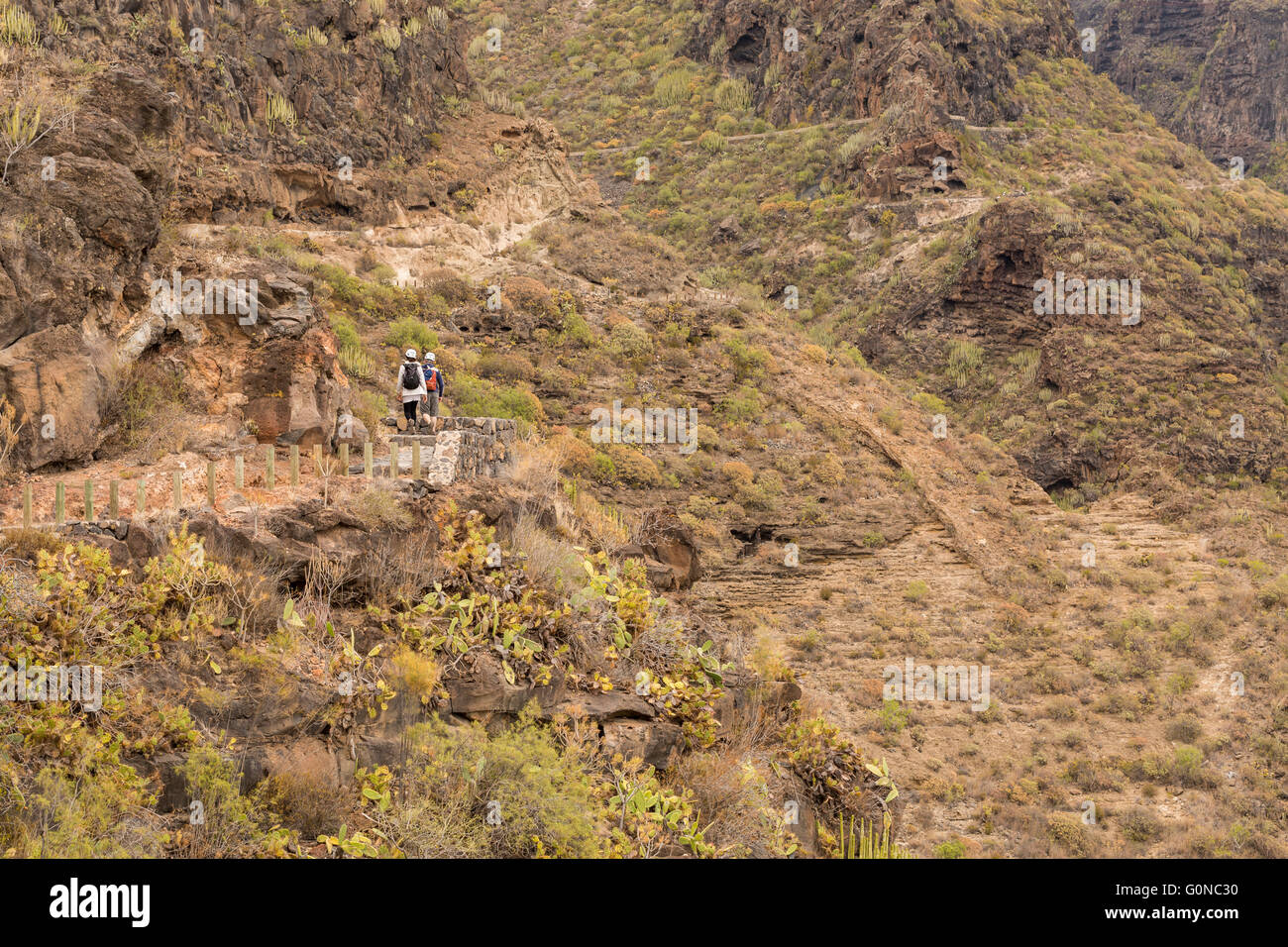 Walkers setting out on the Barranco del Infierno walk in Adeje wearing safety helmets against possible injury from falling rocks Stock Photo