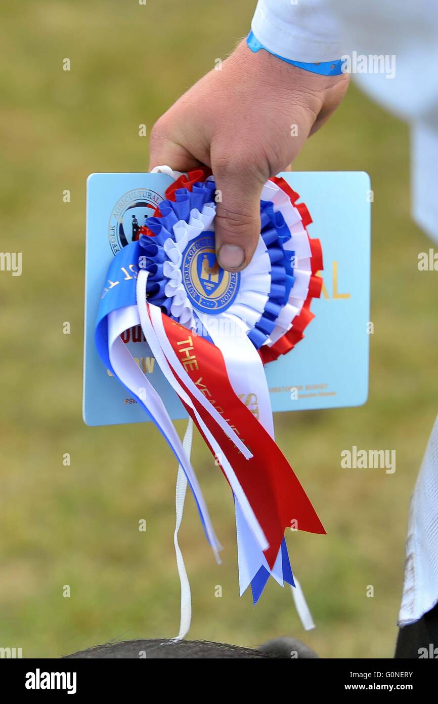 Championship rosette and place card Close up Country show pig section Stock Photo