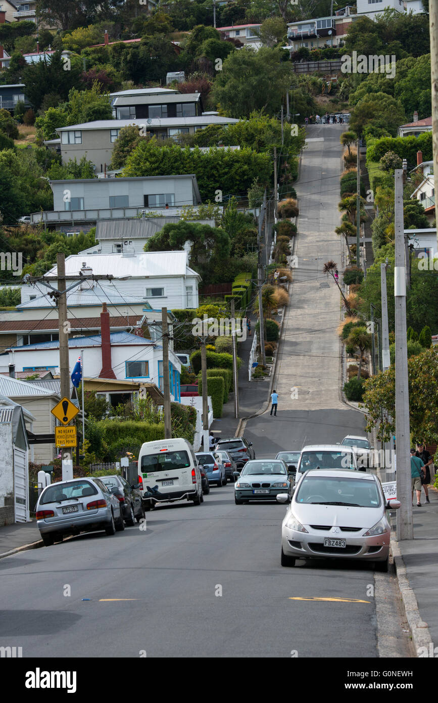 New Zealand, South Island, Dunedin. Baldwin Street, the steepest street in the world. Stock Photo