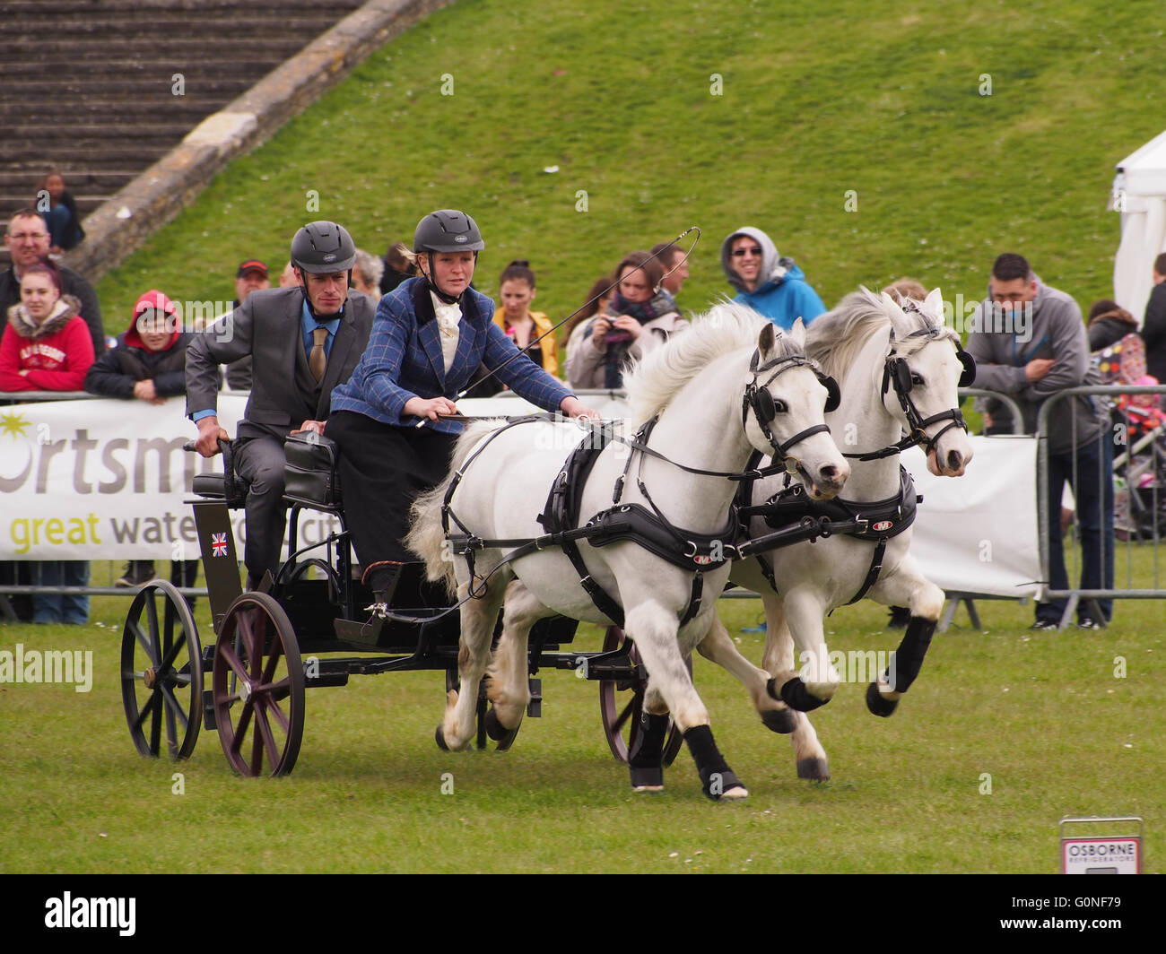 Scurry Racing Double harness hi-res stock photography and images - Alamy