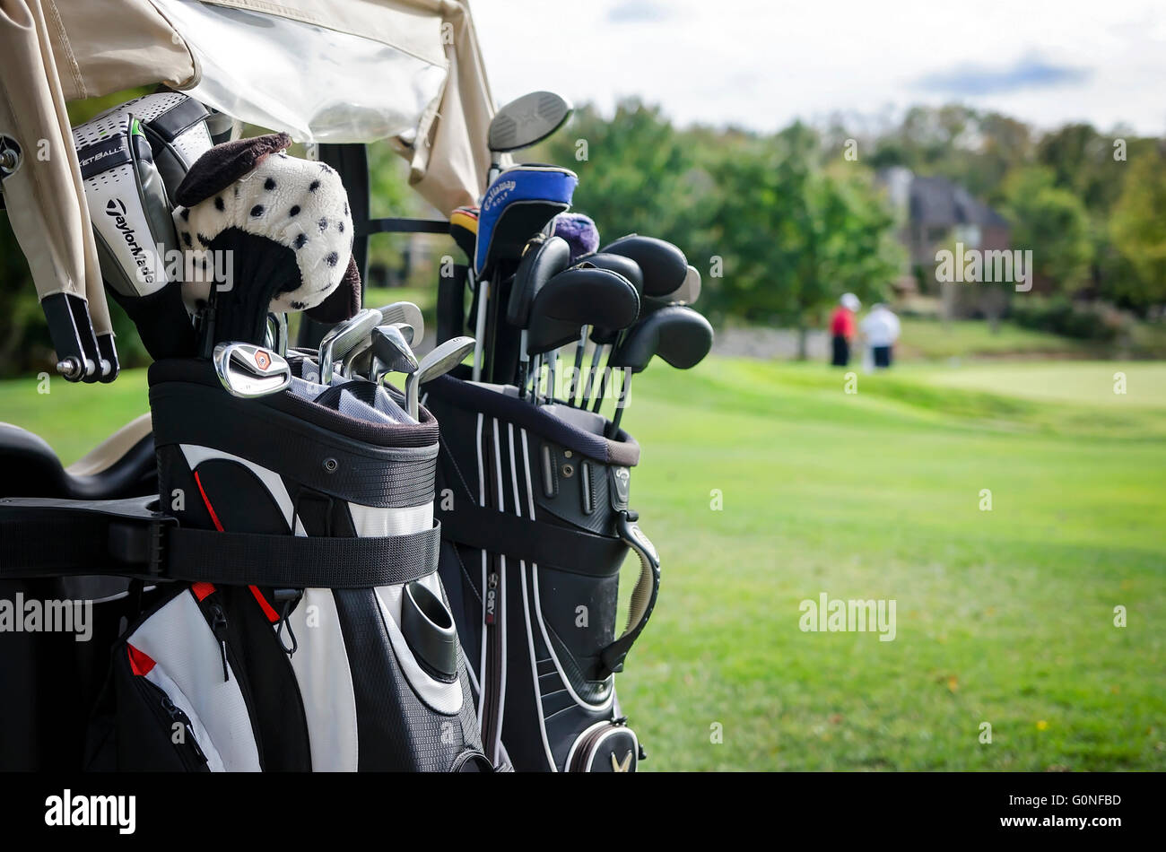Golf clubs on back of golf cart with golfers in background Stock Photo