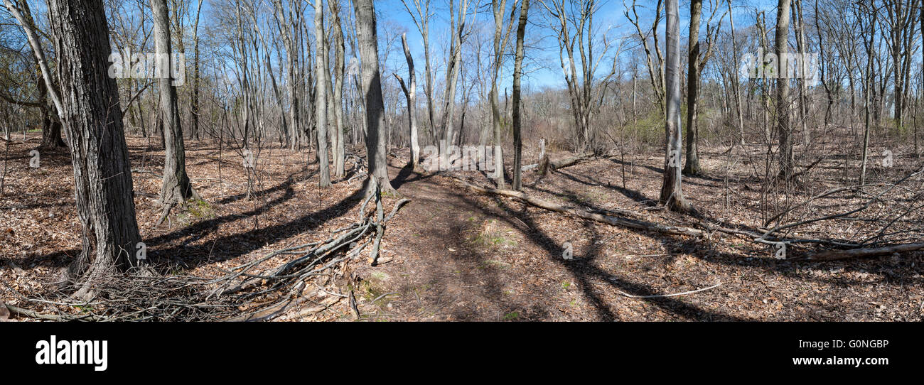 DSC 0260BD80a Parker Meadow Stock Photo