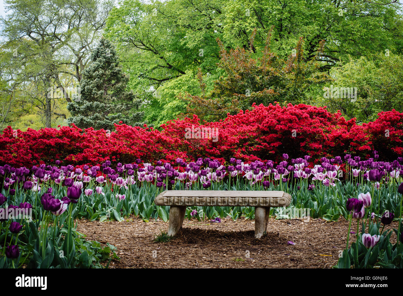 Bench and gardens at Sherwood Gardens Park, in Guilford, Baltimore