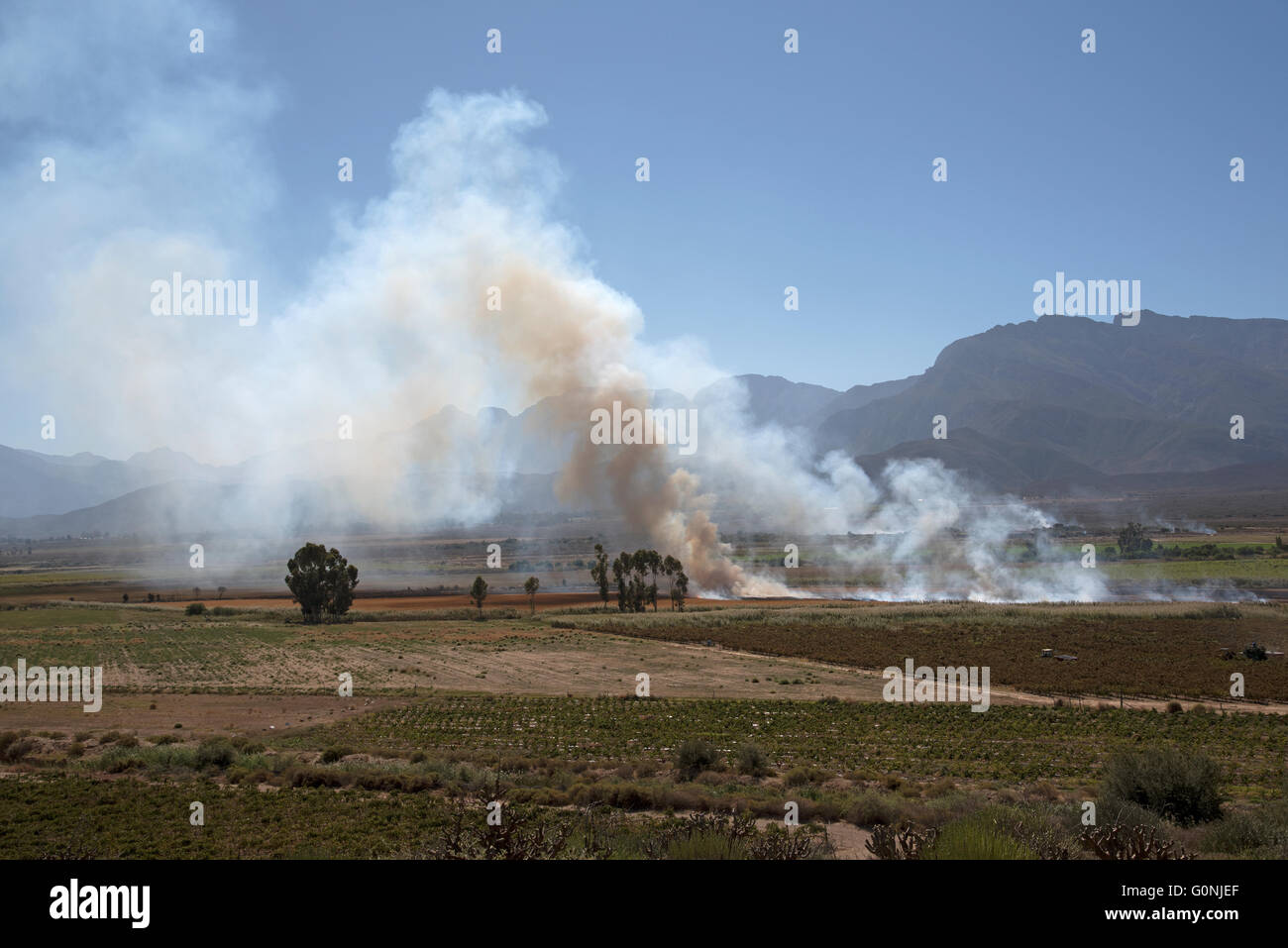 Smoke from a fire burning off a farmers field in the Western Cape South Africa Stock Photo