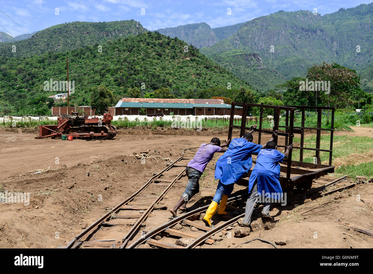 TANZANIA Tanga, Usambara Mountains, Sisal farming and industry, D.D. Ruhinda & Company Ltd., Mkumbara Sisal estate , old railway track from the colonial time, the estates where connected with the Usambara railway line to transport the sisal to Tanga port Stock Photo