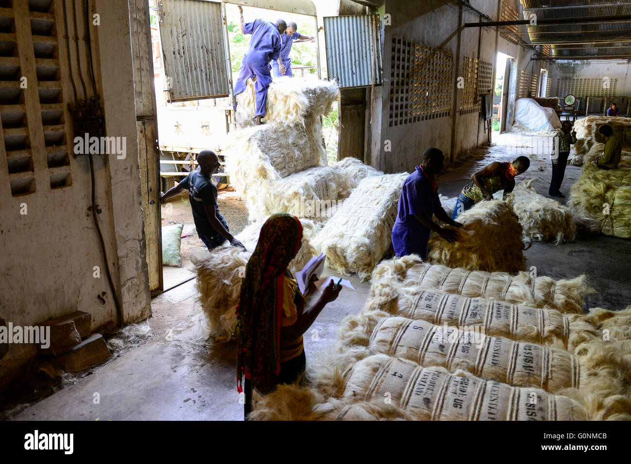 TANZANIA Tanga, Sisal industry, Tancord 1998 Ltd., processing of sisal