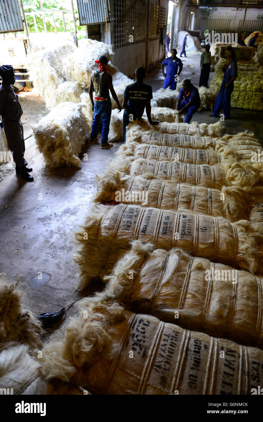 TANZANIA Tanga, Sisal industry, Tancord 1998 Ltd., processing of sisal