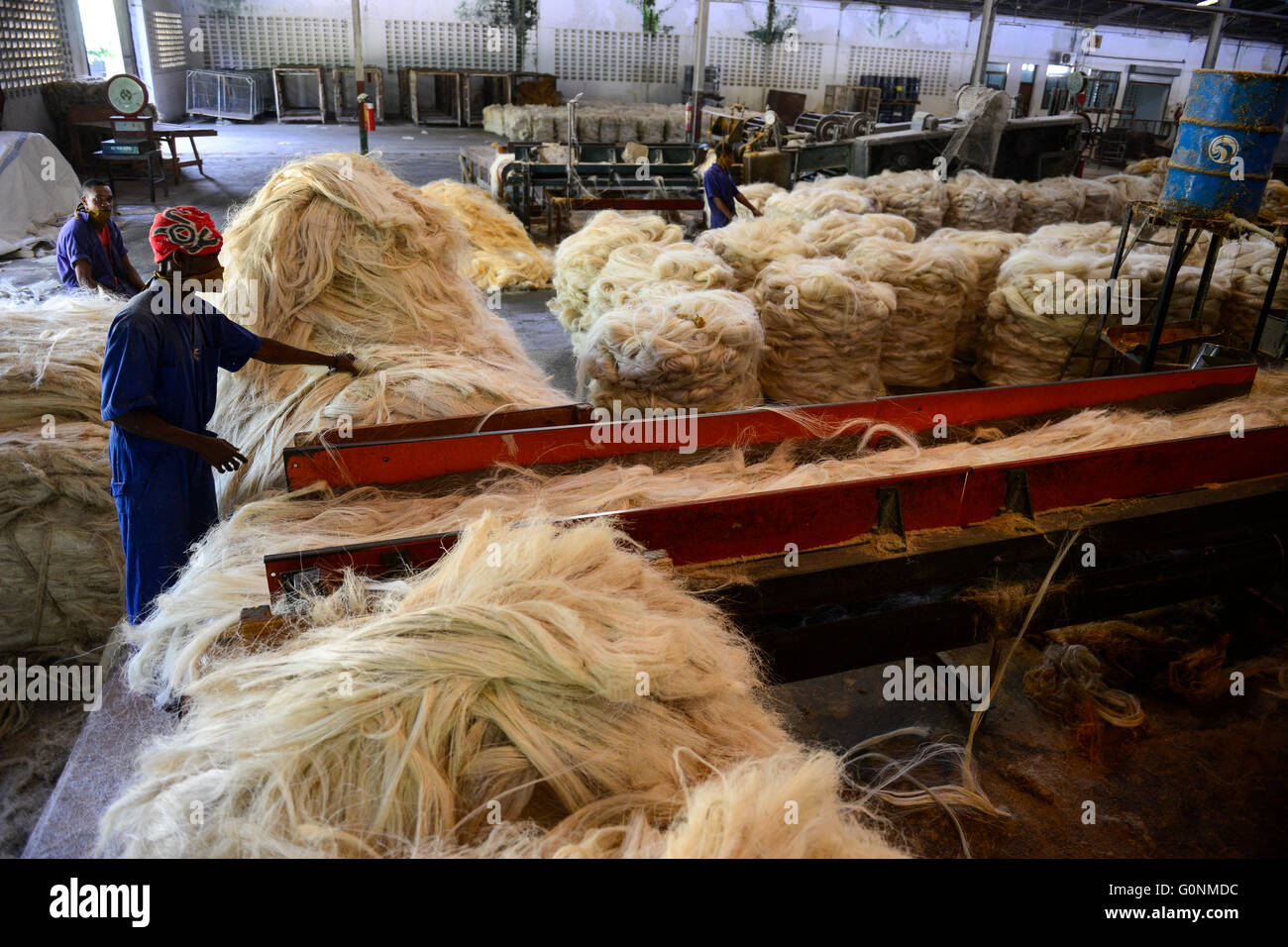 TANZANIA Tanga, Sisal industry, Tancord 1998 Ltd., processing of sisal