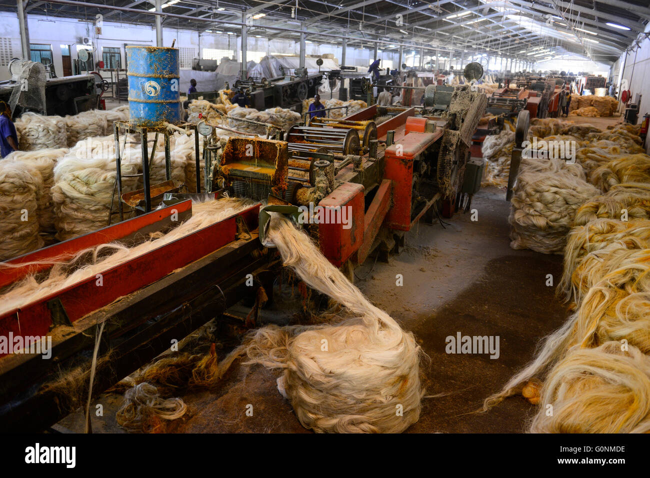 TANZANIA Tanga, Sisal industry, Tancord 1998 Ltd., processing of sisal