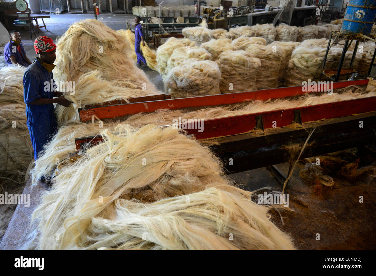 TANZANIA Tanga, Sisal industry, Tancord 1998 Ltd., processing of sisal