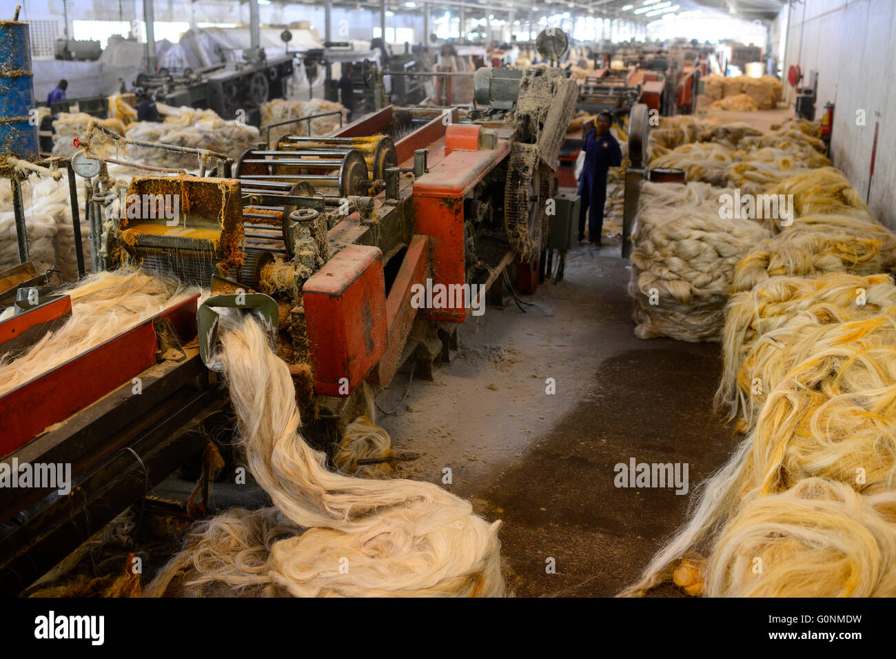 TANZANIA Tanga, Sisal industry, Tancord 1998 Ltd., processing of sisal