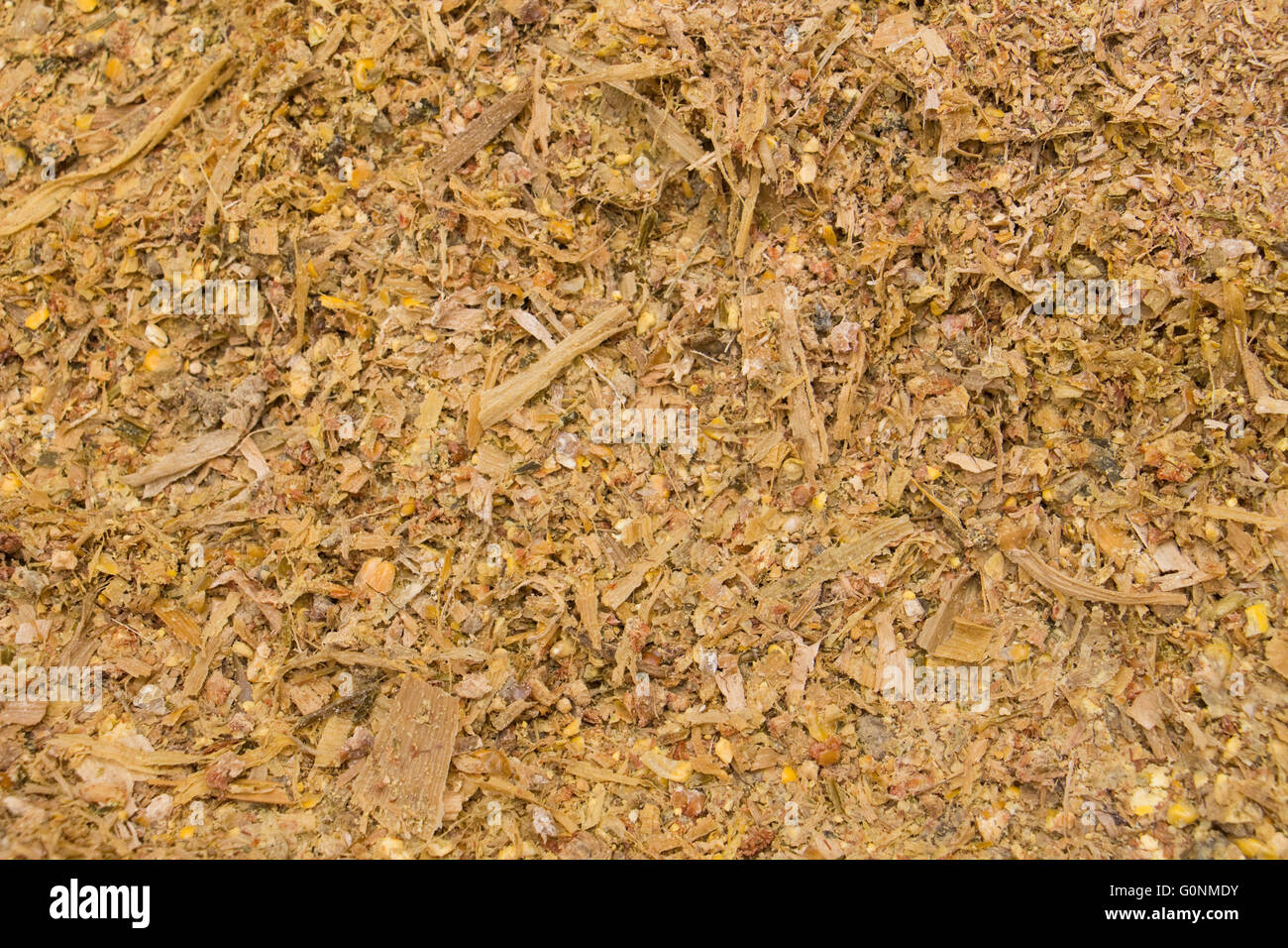 Maize silage on a dairy farm in Northern Italy Stock Photo