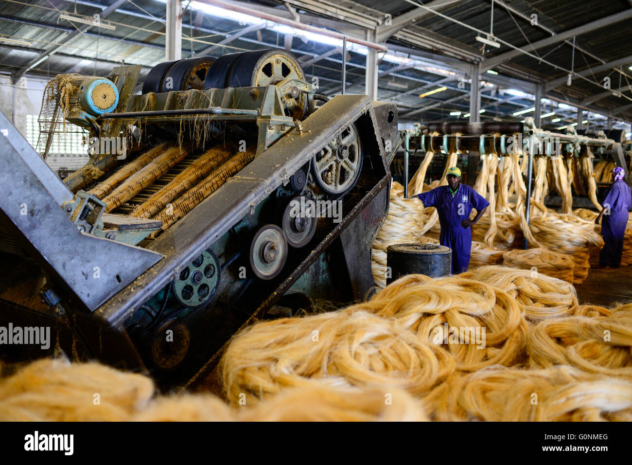 TANZANIA Tanga, Sisal industry, Tancord 1998 Ltd., processing of sisal