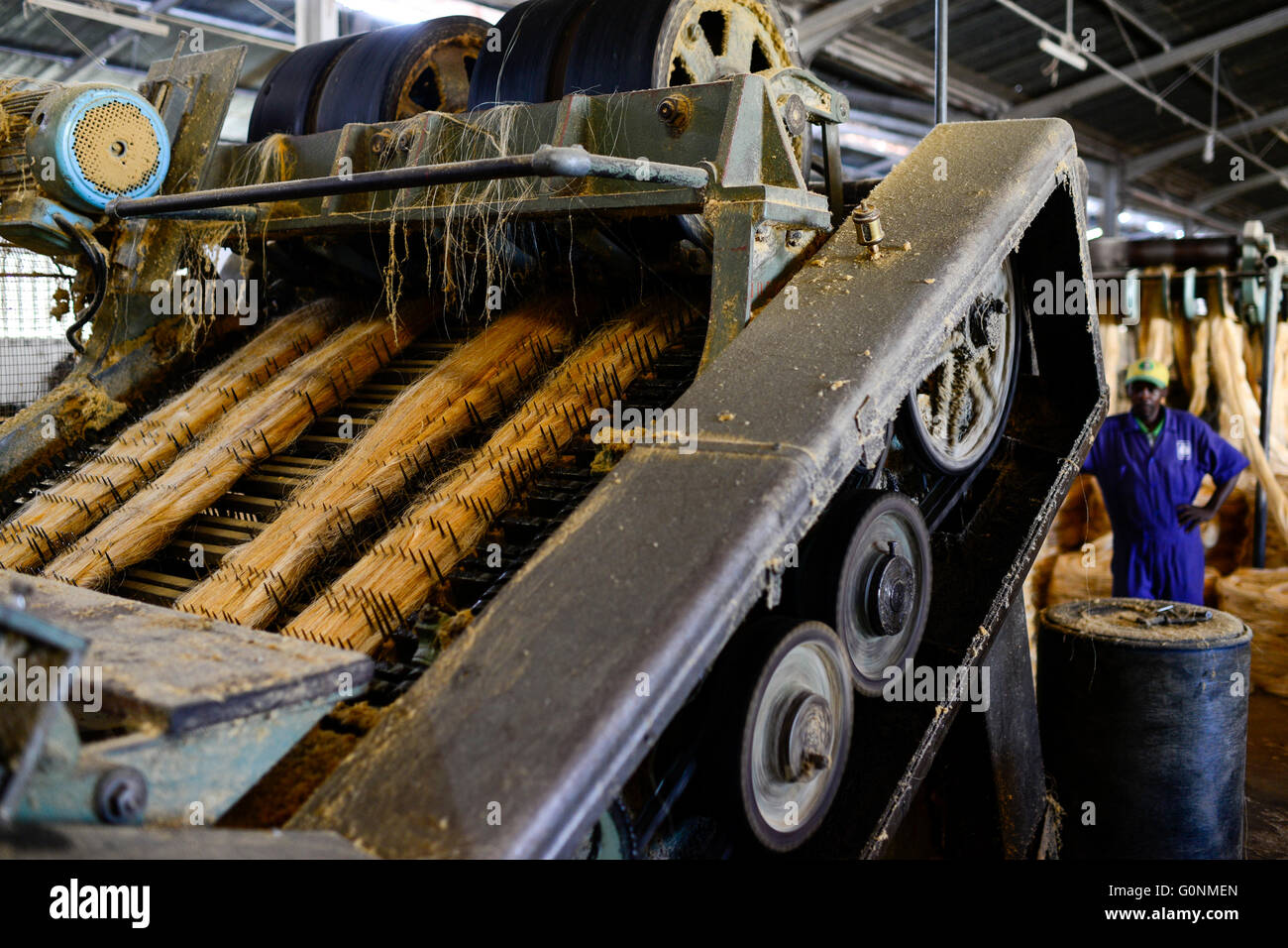 TANZANIA Tanga, Sisal industry, Tancord 1998 Ltd., processing of sisal