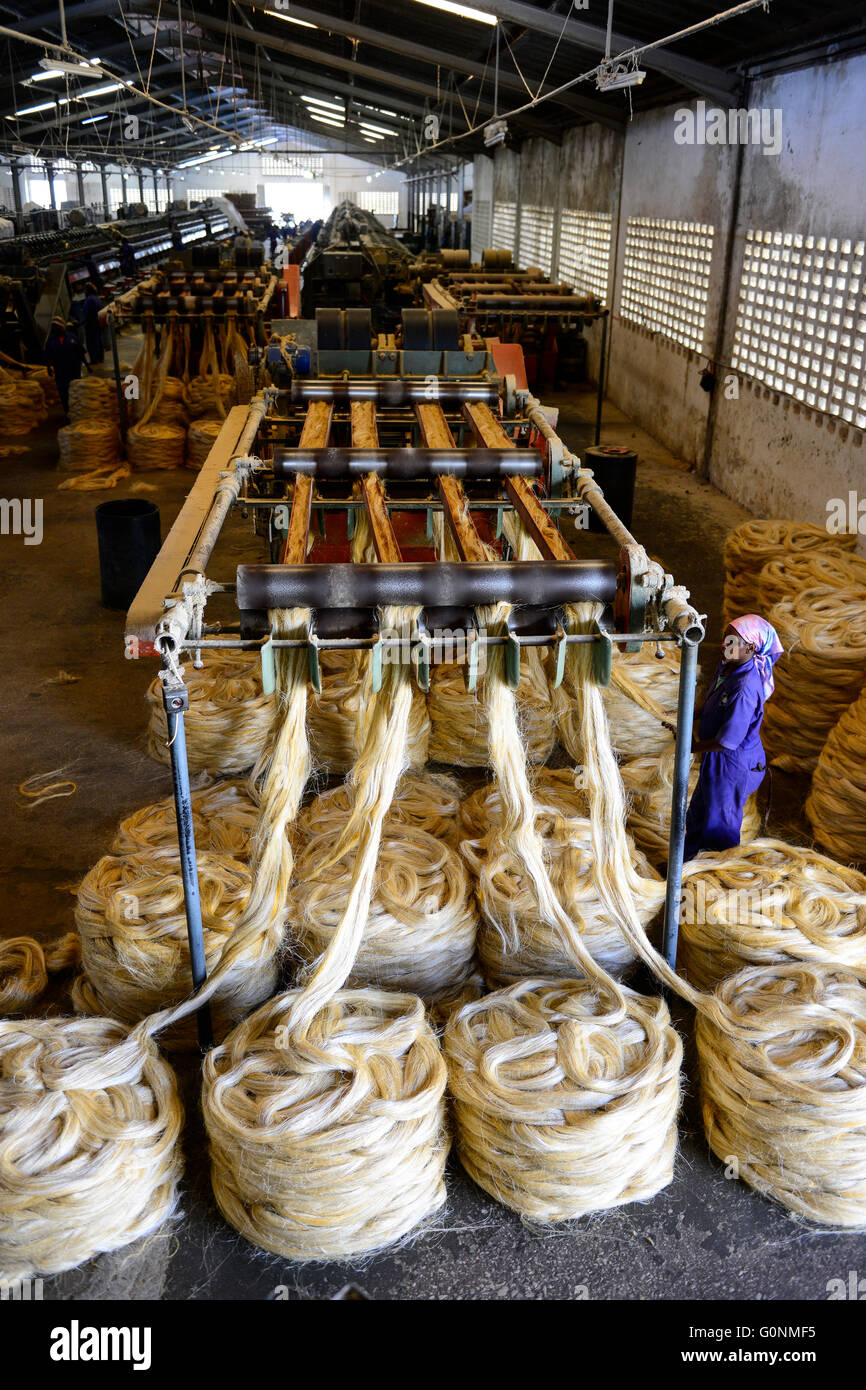 TANZANIA Tanga, Sisal industry, Tancord 1998 Ltd., processing of sisal