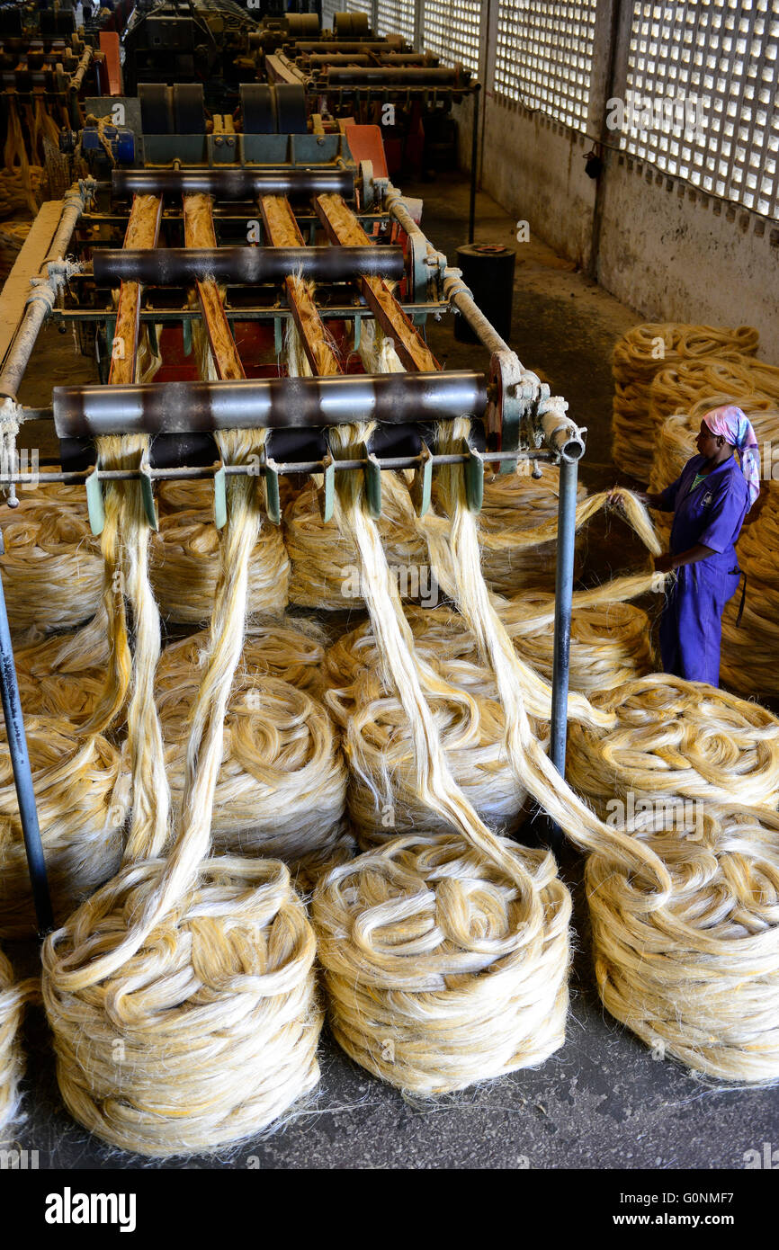 TANZANIA Tanga, Sisal industry, Tancord 1998 Ltd., processing of sisal