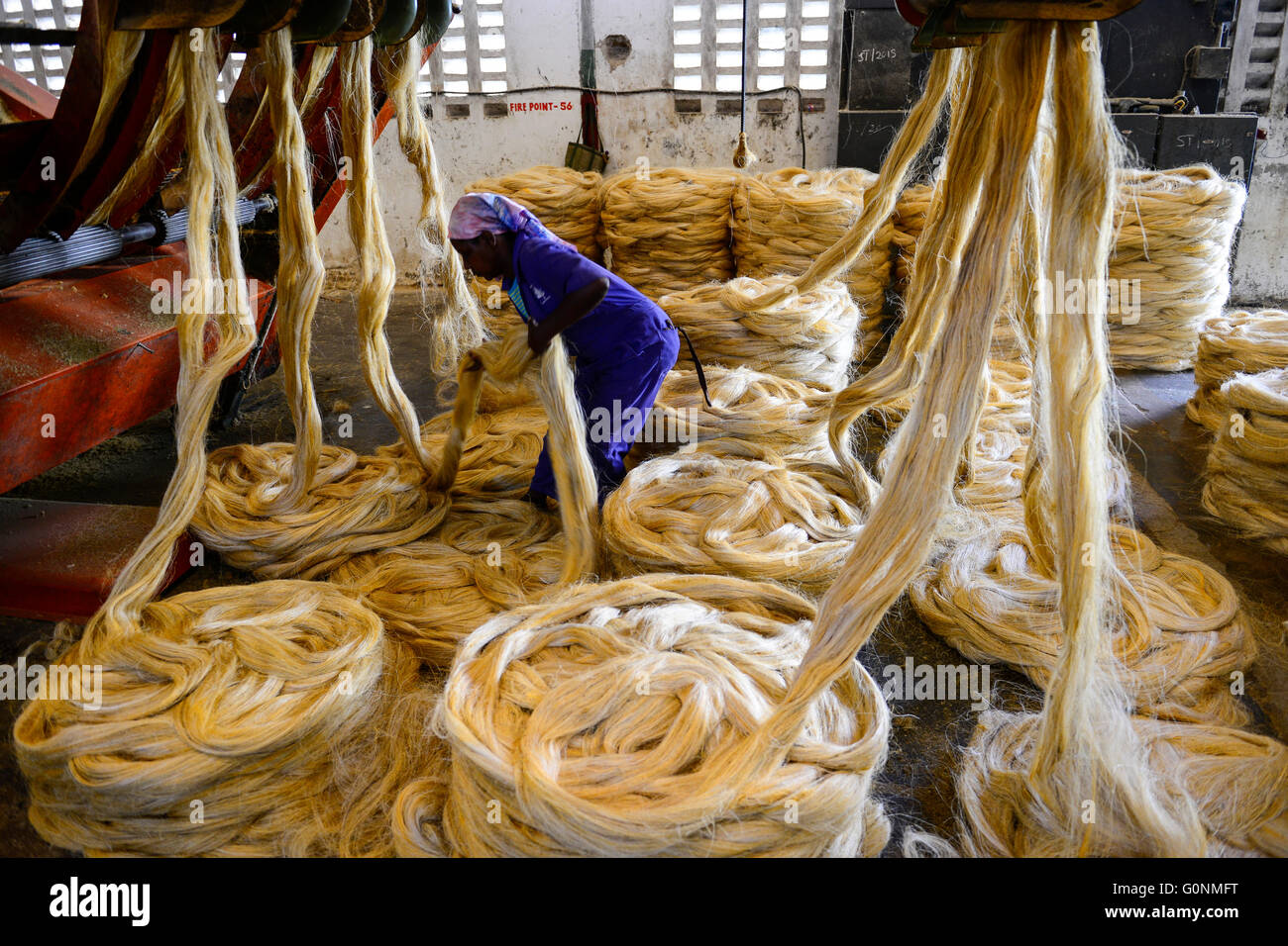 TANZANIA Tanga, Sisal industry, Tancord 1998 Ltd., processing of sisal