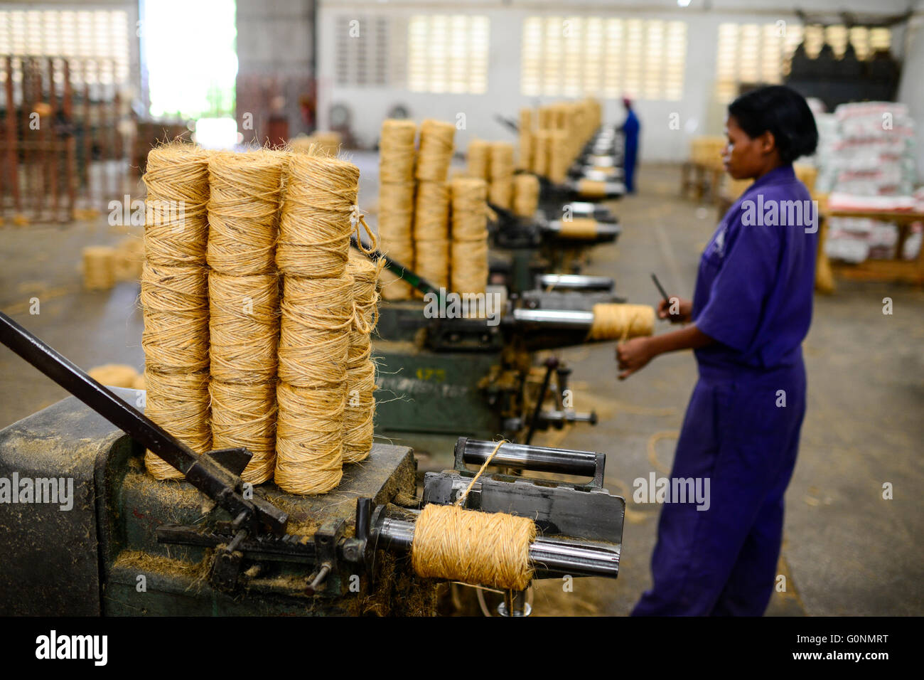 TANZANIA Tanga, Sisal industry, Tancord 1998 Ltd., processing of sisal