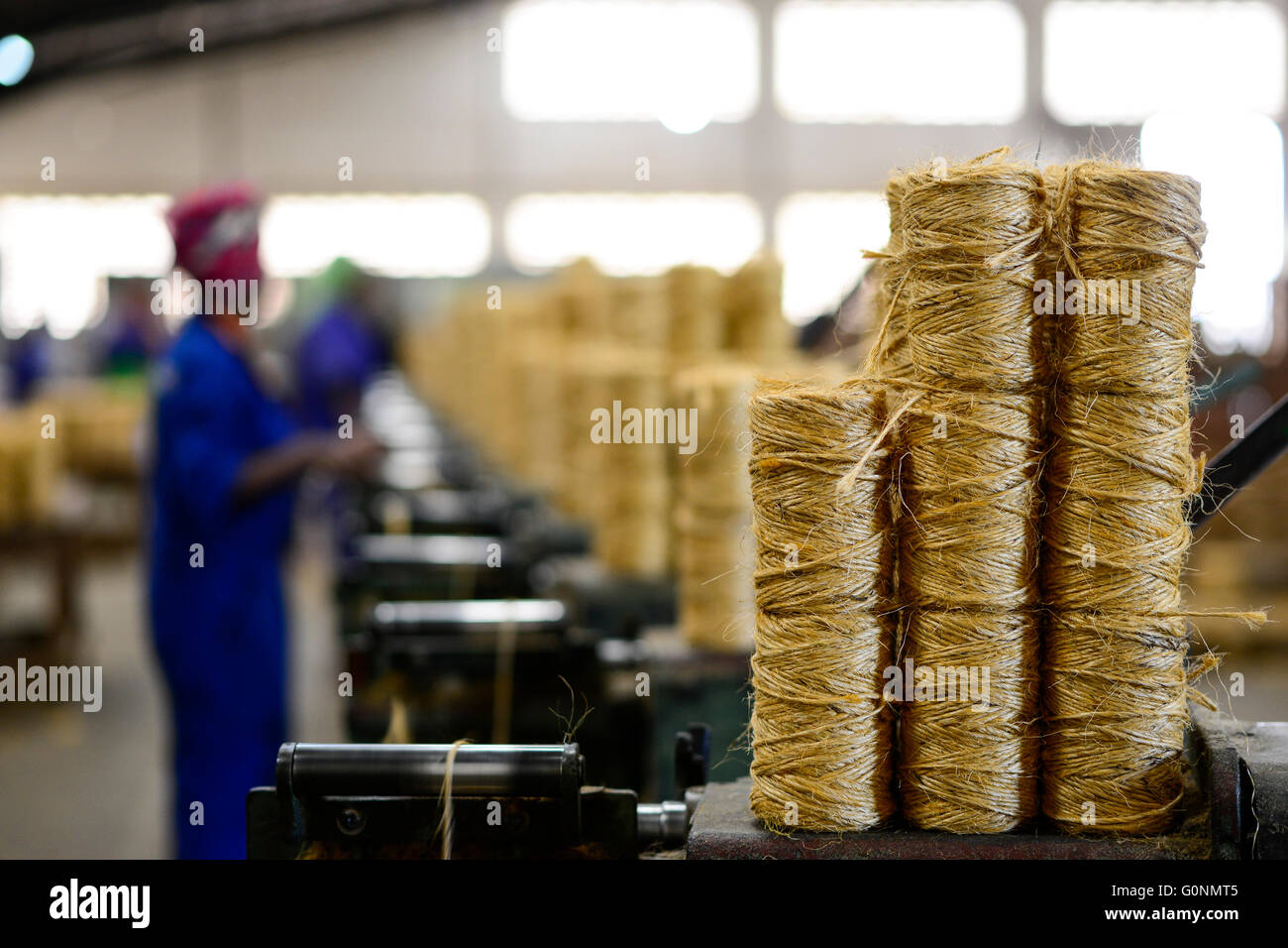 TANZANIA Tanga, Sisal industry, Tancord 1998 Ltd., processing of sisal