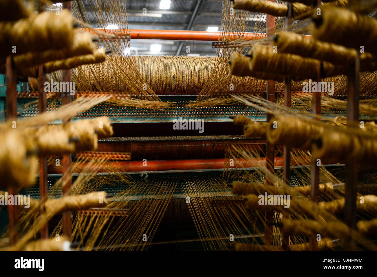 TANZANIA Tanga, Sisal industry, Tancord 1998 Ltd., processing of sisal