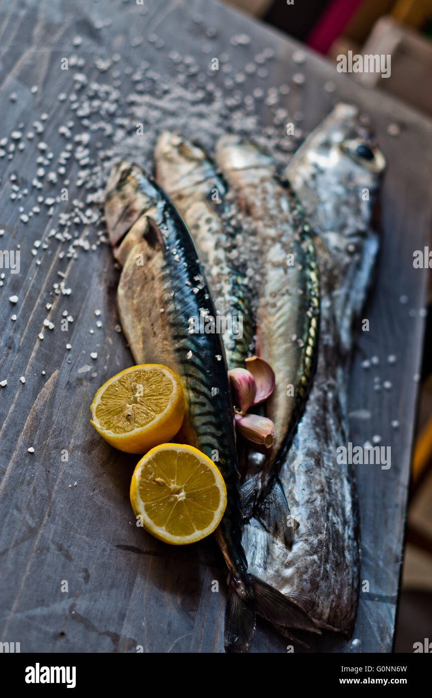 blue fish freshly caught great for a healthy diet ready to be cooked ...