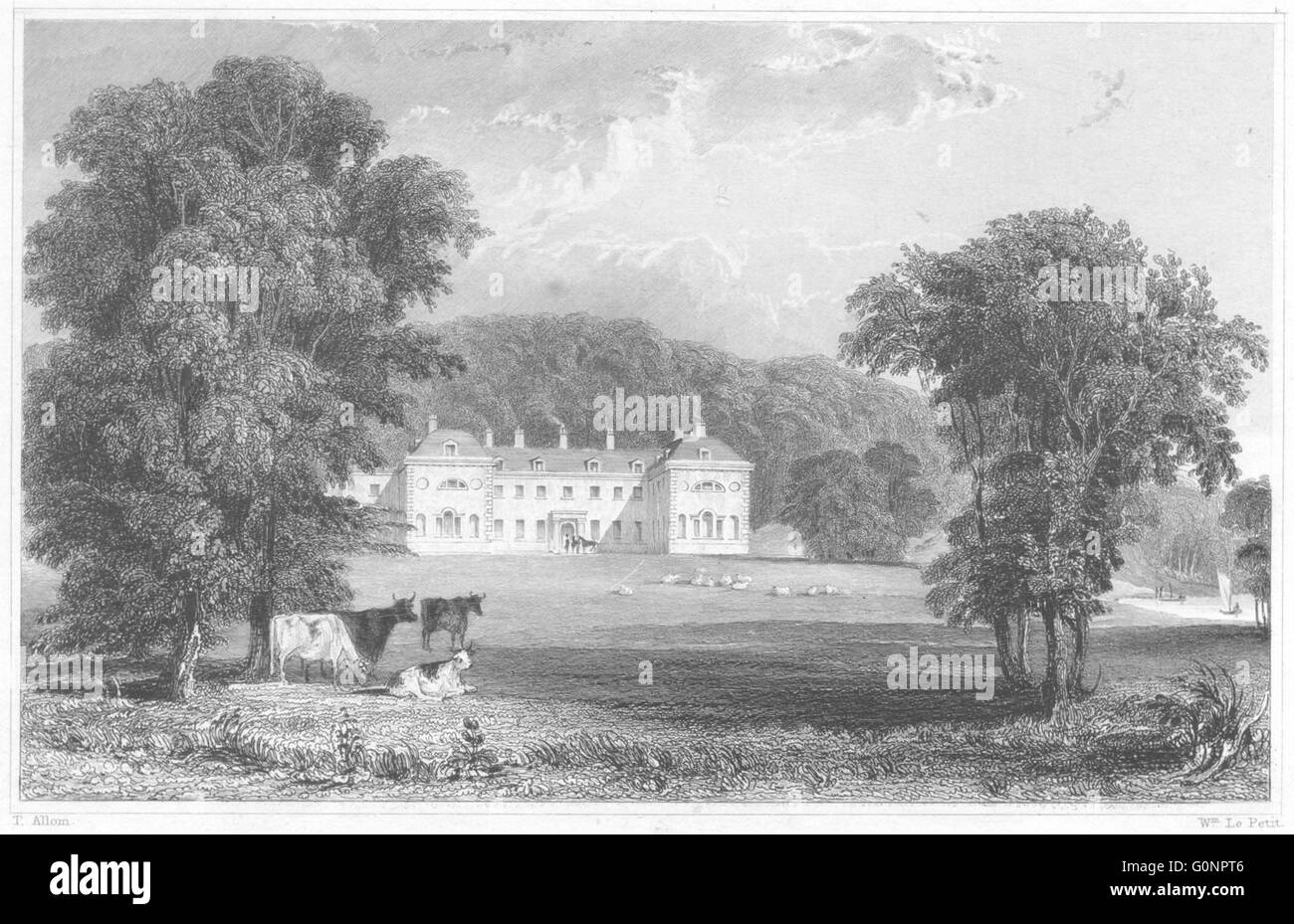 DEVON: Maristow (The seat of Sir Ralph Lopez), antique print 1829 Stock Photo