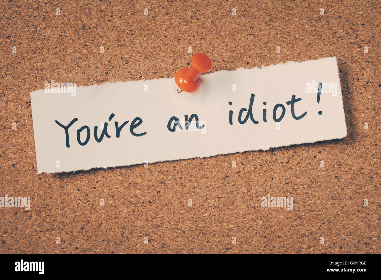 You're An Idiot
