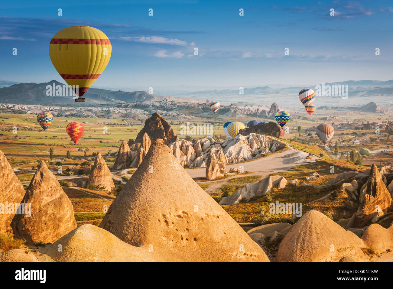 Hot air balloons flying over a field of poppies and rock landscape at Cappadocia, Turkey Stock Photo