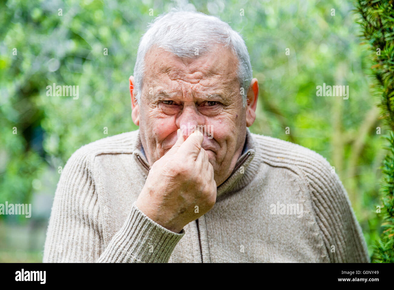 Elderly Caucasian in green garden stoppeth his nose with his fingers Stock Photo