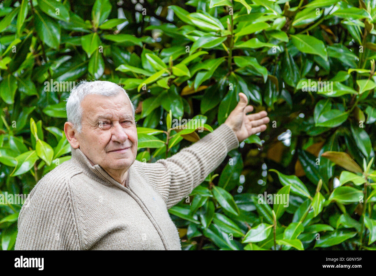 Elderly Caucasian in green garden shows the background of green leaves ...