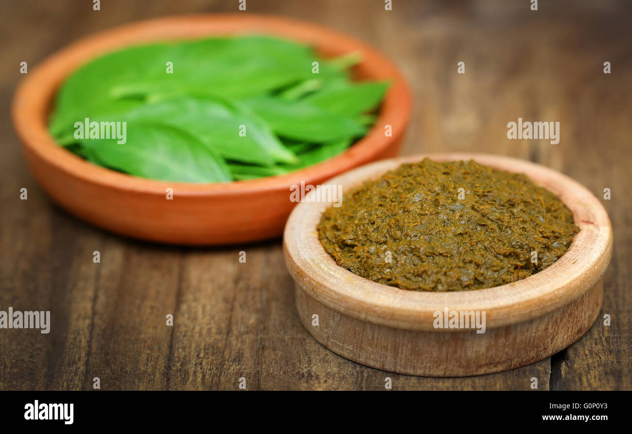 Closeup of some ayurvedic henna leaves with paste Stock Photo