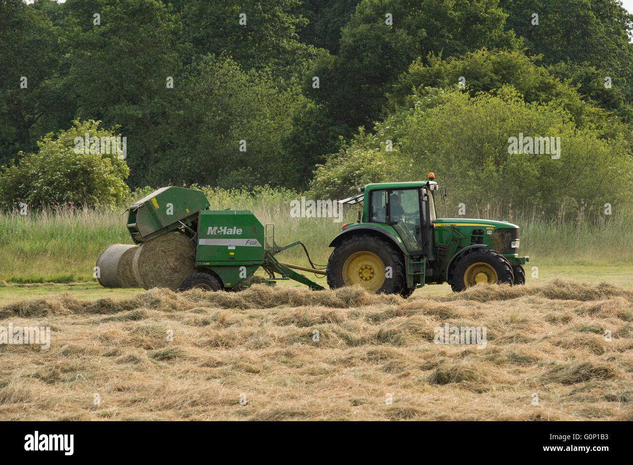 Great Ouseburn, North Yorkshire, GB, UK - round bale dropping & falling from a baler pulled by a green farm tractor working in a field, making silage. Stock Photo