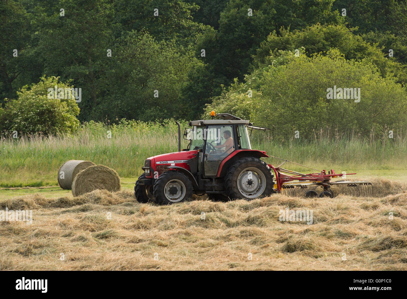 Silage making - passing round hay bales, a red farm tractor pulling a single-rotor rake works in a field at Great Ouseburn, North Yorkshire, England. Stock Photo
