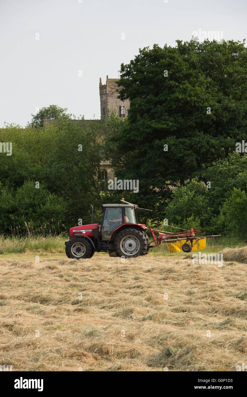 Silage making - Red farm tractor pulling a single-rotor rake working in a field at Great Ouseburn, North Yorkshire, England. Stock Photo