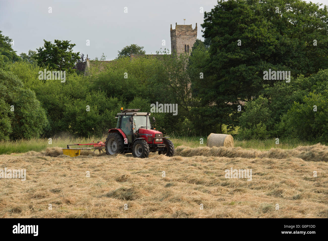 Silage making - Red farm tractor pulling a single-rotor rake working in a field at Great Ouseburn, North Yorkshire, England. Stock Photo