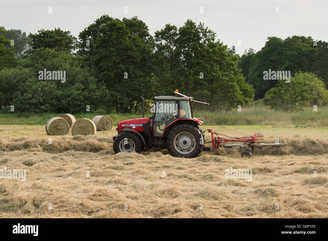 Silage making - with round bales beyond, a red farm tractor pulls a single-rotor rake working in a field at Great Ouseburn, North Yorkshire, England. Stock Photo