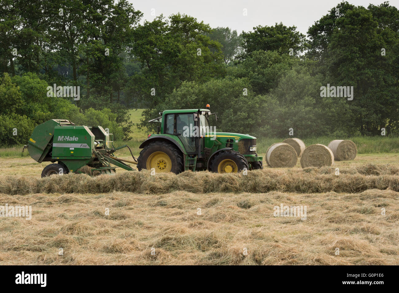 Green farm tractor working in a field, silage or hay making, pulling round baler (4 cylindrical bales beyond) - Great Ouseburn, North Yorkshire, GB. Stock Photo