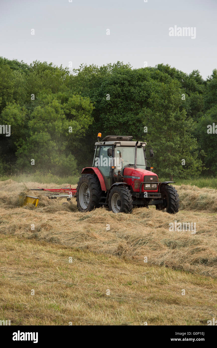 Silage making - Red farm tractor pulling a single-rotor rake working in a field at Great Ouseburn, North Yorkshire, England. Stock Photo
