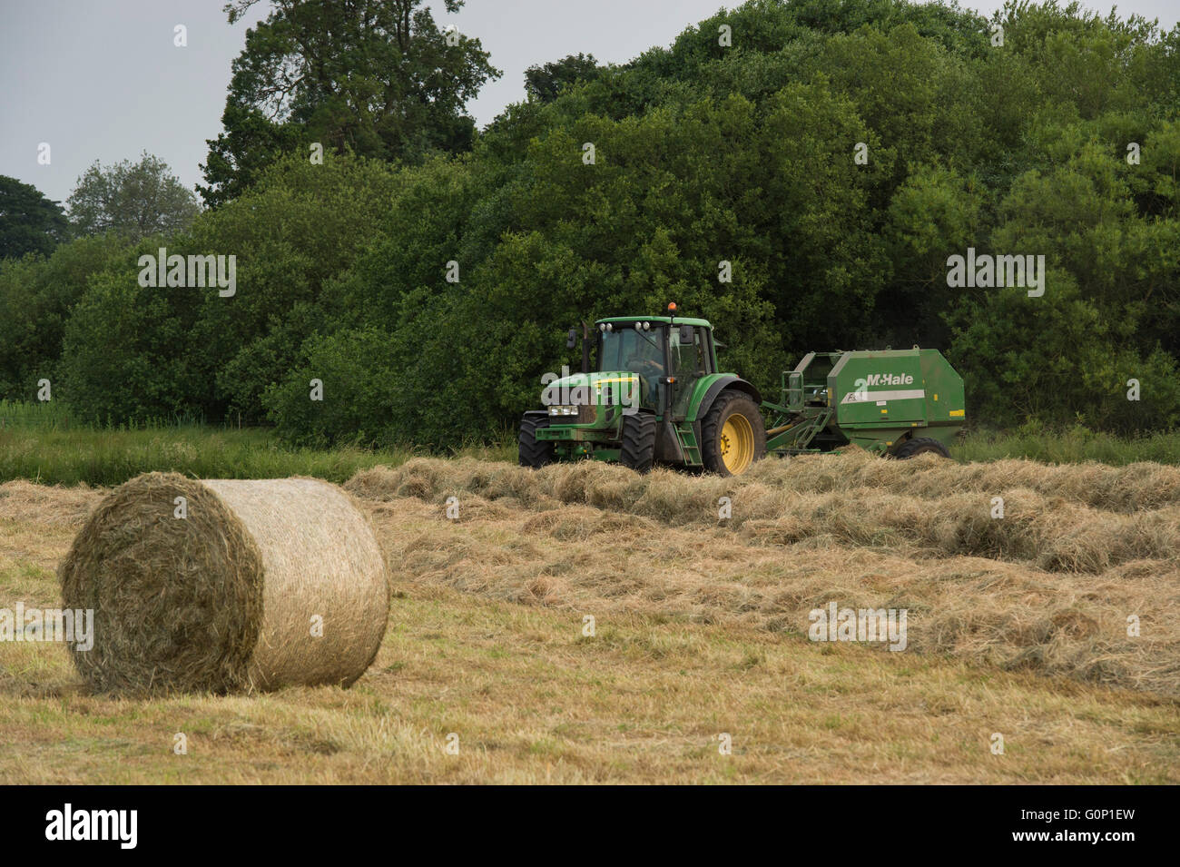Hay or silage making, Great Ouseburn, North Yorkshire, England - round bale in field with green tractor driving & working beyond, pulling a baler. Stock Photo