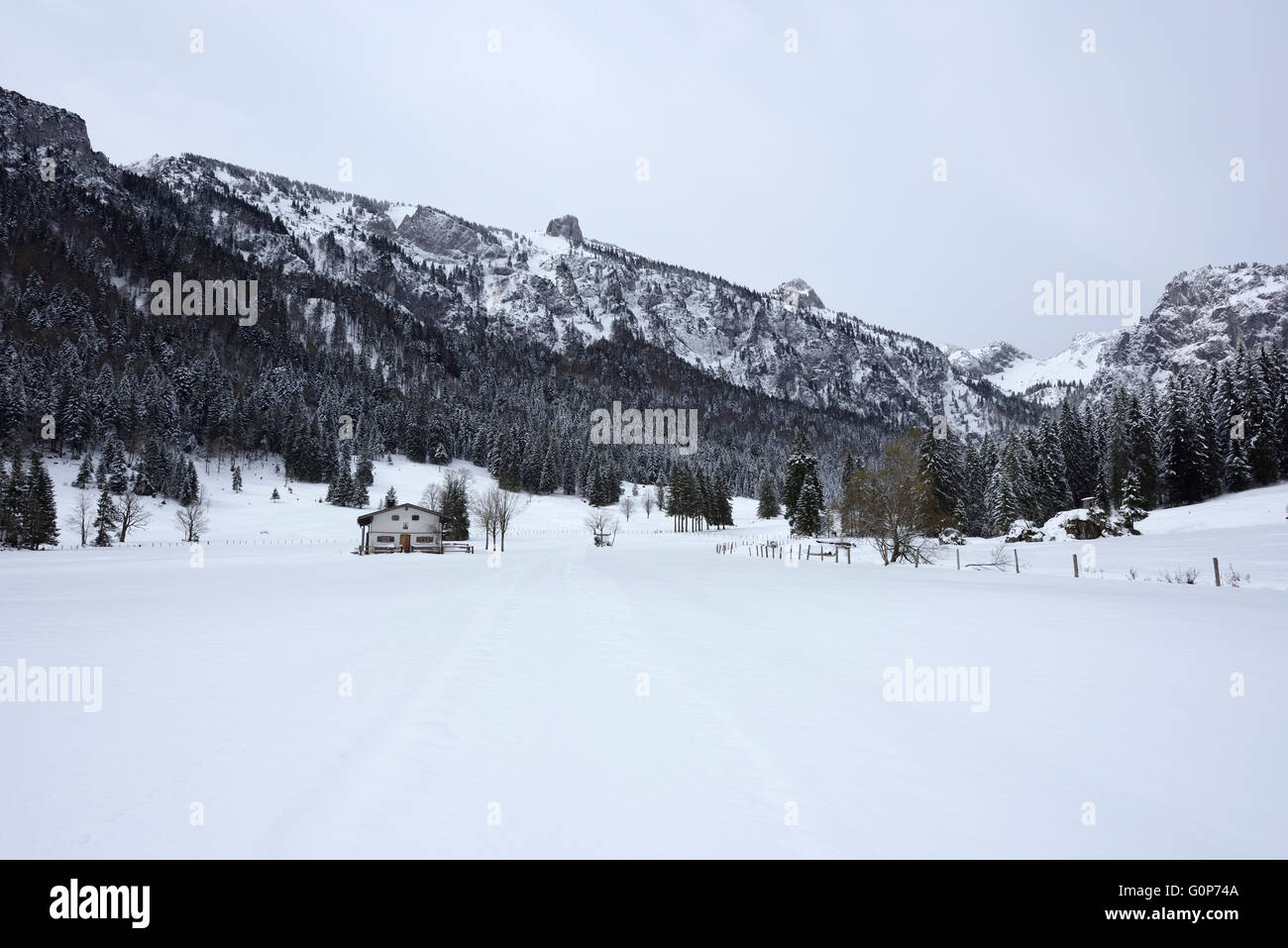 Längental, snowy mountain valley and house on the way to Benediktenwand, Bavaria, Germany Stock Photo