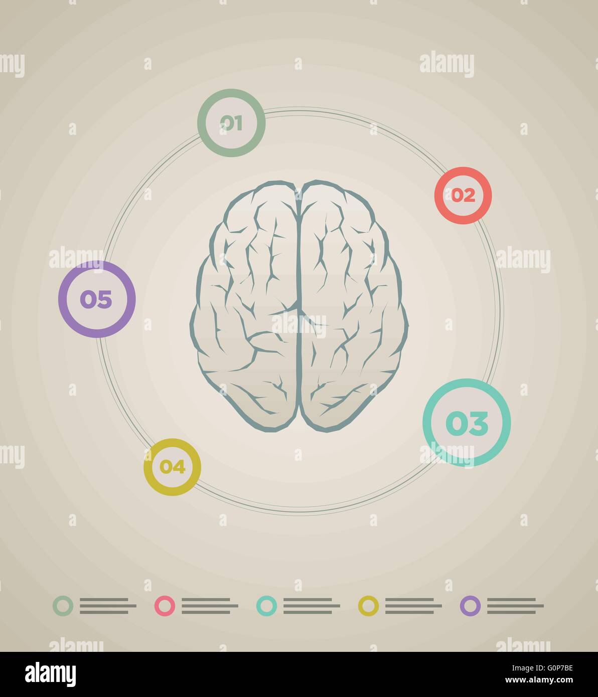 Vector brain infographic template. Elements are layered separately in vector file. Stock Vector