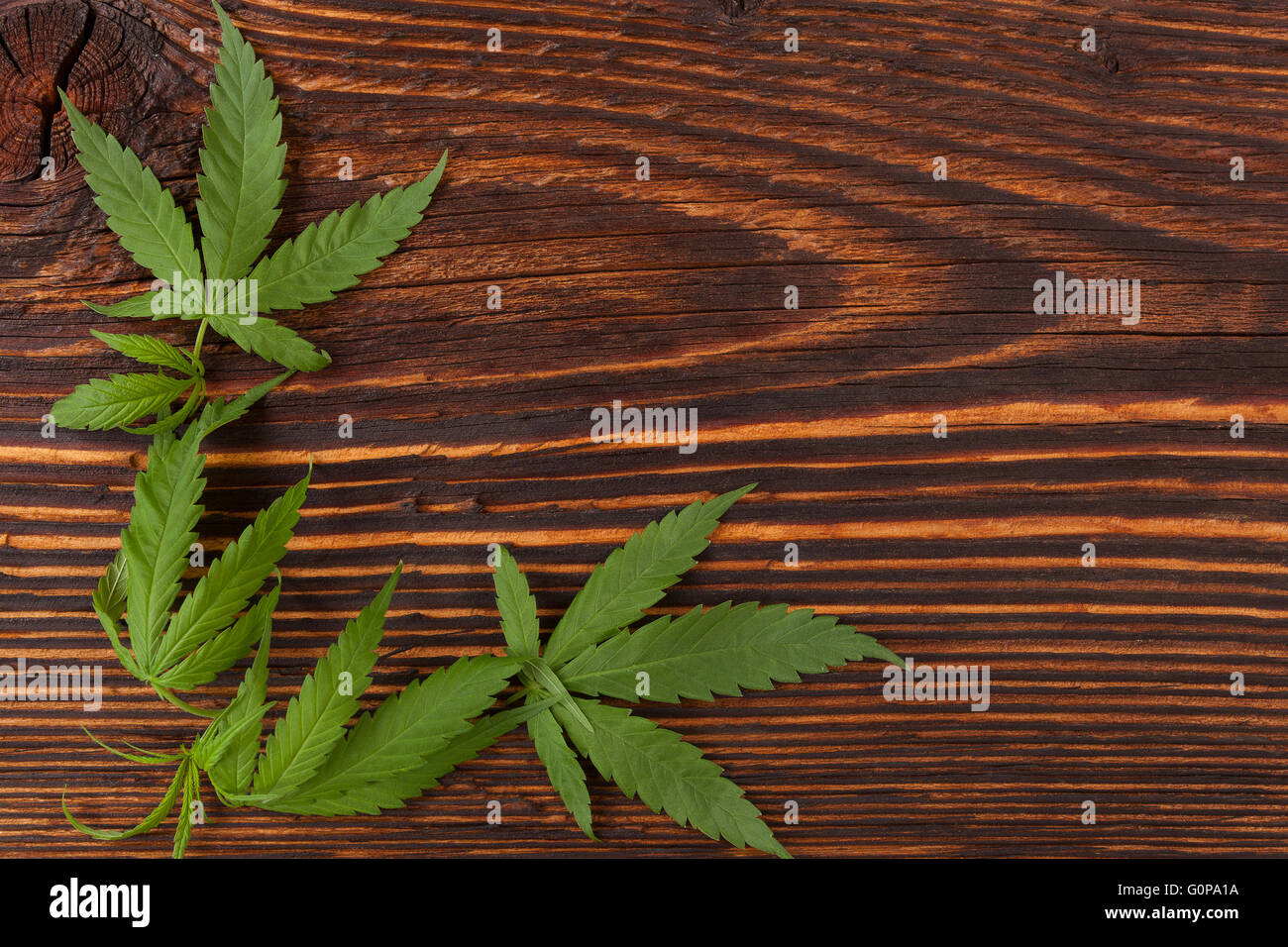 Cannabis buds and foliage on brown wooden table, top view. Medical marijuana, alternative medicine. Stock Photo