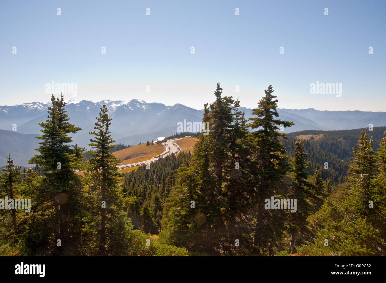 Hurricane Ridge in the Olympic Peninsula Stock Photo - Alamy