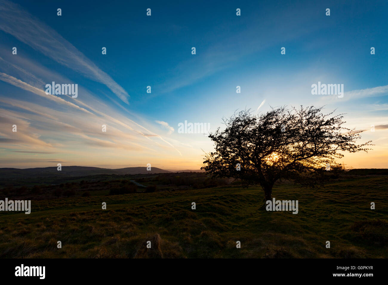 Flintshire, North Wales, UK Weather UK temperatures begin to rise this