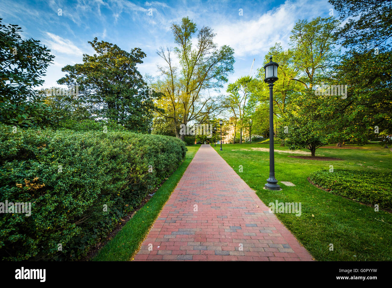 Lightpost and trees along a path at Johns Hopkins University, in Baltimore, Maryland. Stock Photo